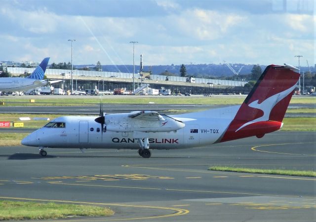 de Havilland Dash 8-200 (VH-TQX) - Qantaslink De Havilland Canada DHC-8-202Q VH-TQX (msn 439) at Sydney Airport 16 August 2023.