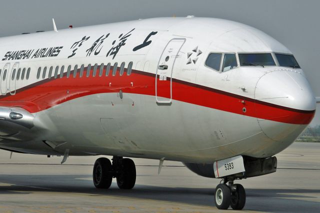 Boeing 737-800 (B-5393) - Arriving at the gate