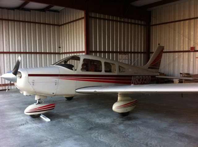 Piper Cherokee (N8373D) - 1981 Piper Warrior II