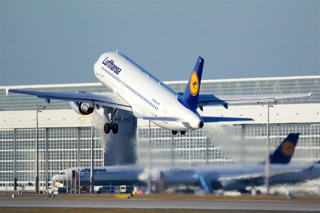 BOEING 737-300 (D-AIZL)