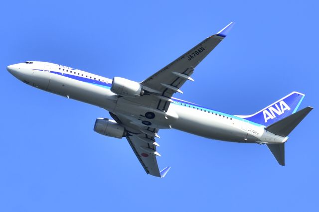 Boeing 737-800 (JA76AN)