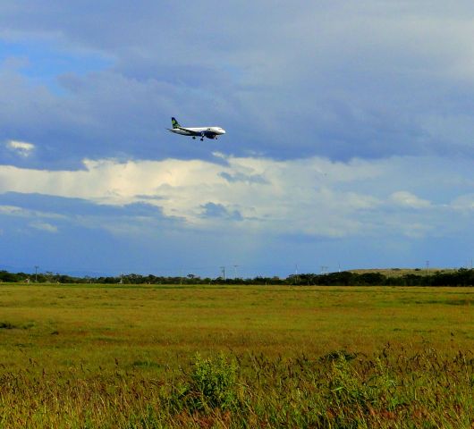 Airbus A319 — - AIRBUS A319 OF SKYLINES LANDING IN PUNTA ARENAS, CHILE