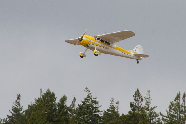 Cessna LC-126 (N1010D) - N1010D deprting KLLR