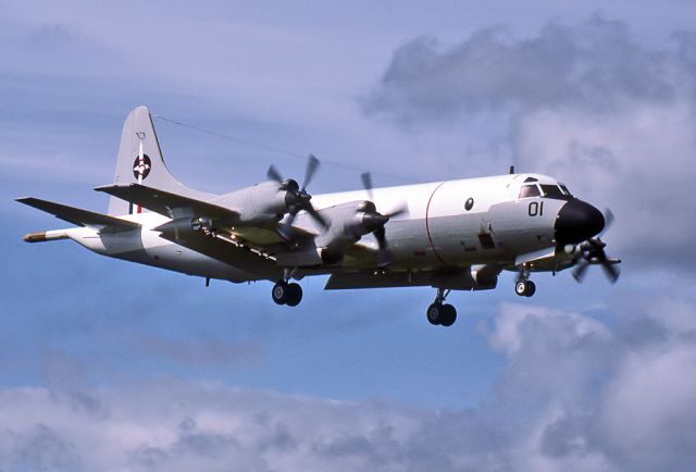 BOEING 747-8 (ANZ4201) - NEW ZEALAND - AIR FORCE - LOCKHEED P3-B ORION - REG NZ4201 (CN 185-5190) - EDINBURGH RAAF BASE ADELAIDE SA. AUSTRALIA - YPED 27/9/1984)