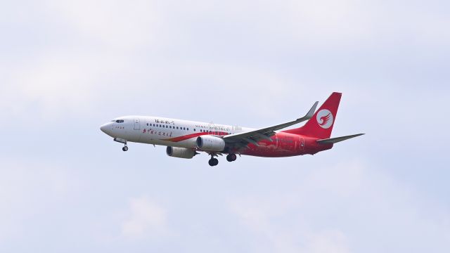 Boeing 737-800 (B-5790) - Photo date:2024.6.16