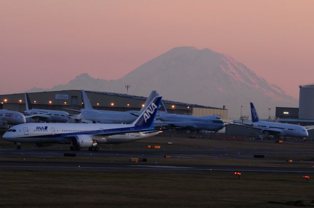 Boeing 787-8 (JA805A) - ANA JA 805A RETURNING AT DUSK FROM TEST FLIGHT