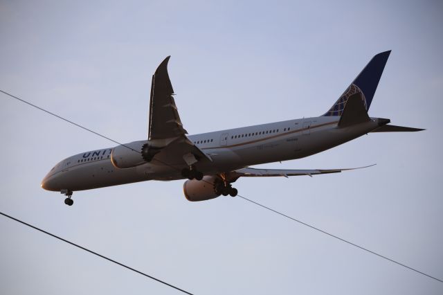 Boeing 787-9 Dreamliner (N45956)