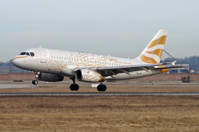 Airbus A319 (G-EUPA) - The Golden Dove