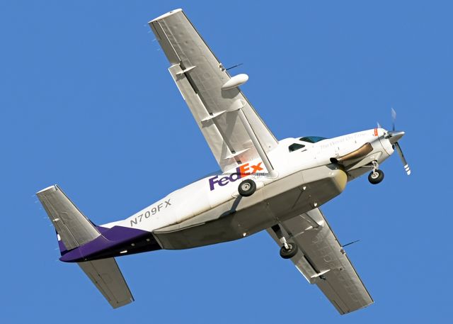 Cessna Caravan (N709FX)