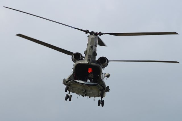 — — - I don't know about you, but I cant help but see a frogs face when looking at the rear end of this Boeing Chinook.