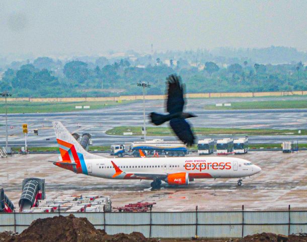 Boeing 737-700 (VT-BWC)