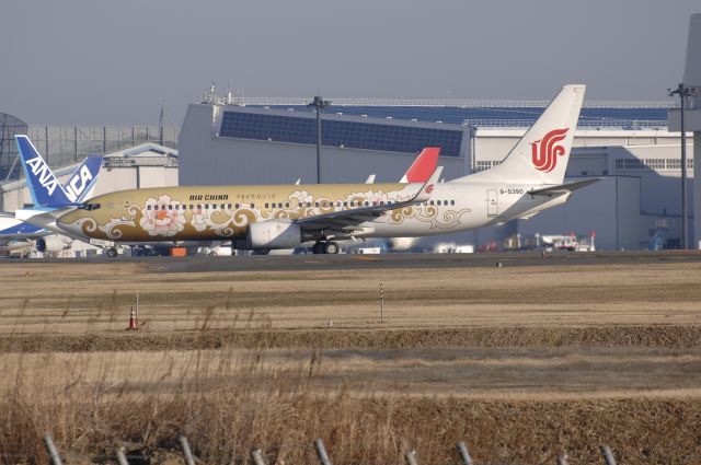 Boeing 737-800 (B-5390) - Departure at Narita Intl Airport 34L on 2010/12/31 Gold Tree Peony c/s