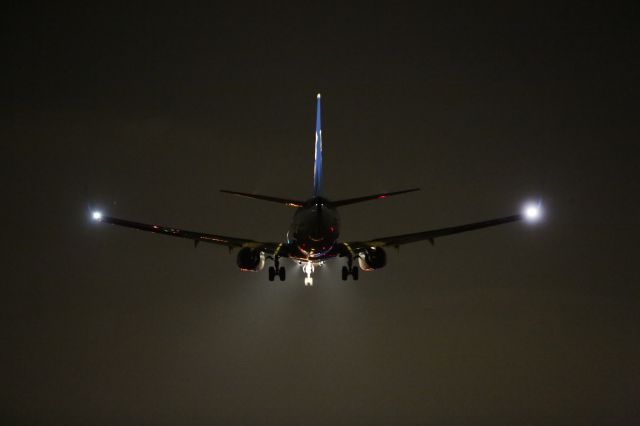 Boeing 737-800 (JA74AN) - 20 December 2016:HND-HKD.