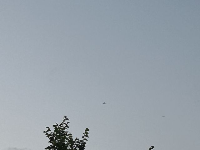 Airbus A319 (N9022G) - Flightradar24 for infomation