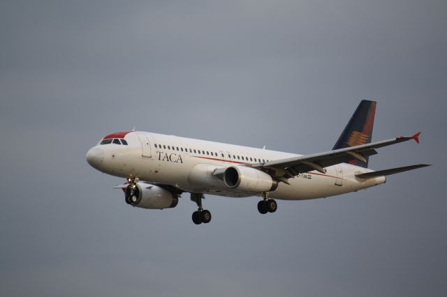 Airbus A320 (EI-TAB) - Landing at Lester B. Pearson Airport,YYZ/CYYZ Toronto,Ontario,Canada(malton)  June 14,2009