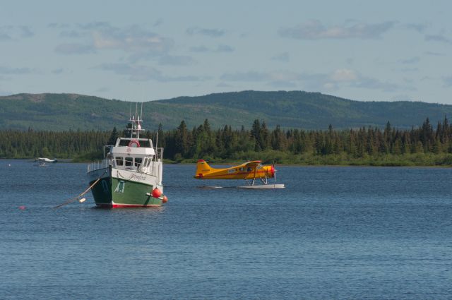 De Havilland Canada DHC-2 Mk1 Beaver (C-FODB)