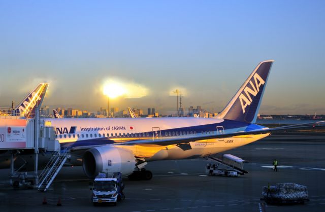 Boeing 787-8 (JA811A) - At sunrise