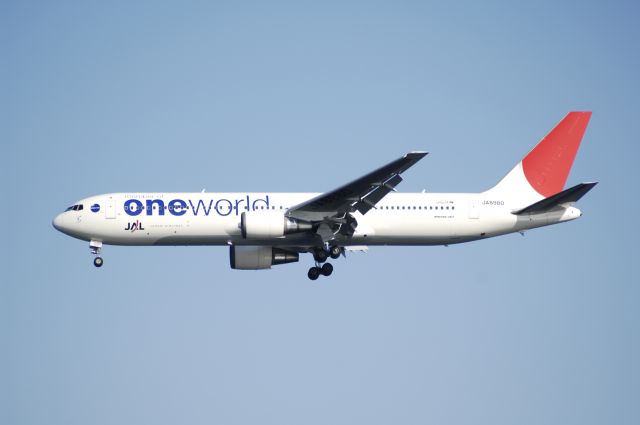 BOEING 767-300 (BON8980) - Final Approach to Haneda Intl Airport R/W34L on 2010/1/17 One World c/s