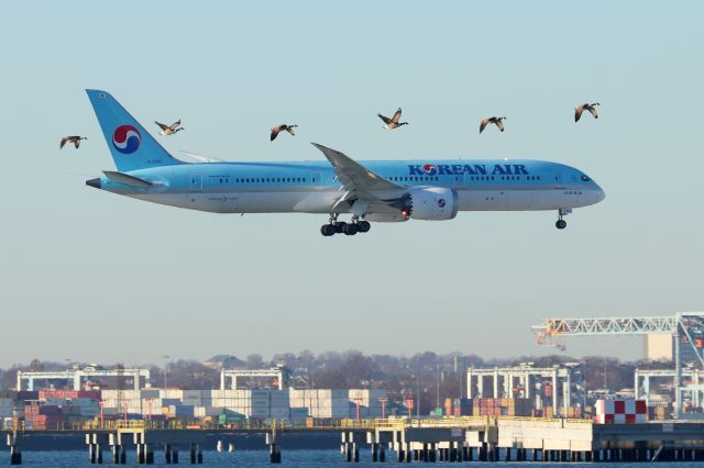 Boeing 787-8 (HL8082) - 'Koreanair 091' from Seoul landing on 33L