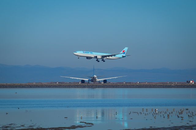 Airbus A330-300 (HL8026) - United 787 holding short while Korean Air A330 lands