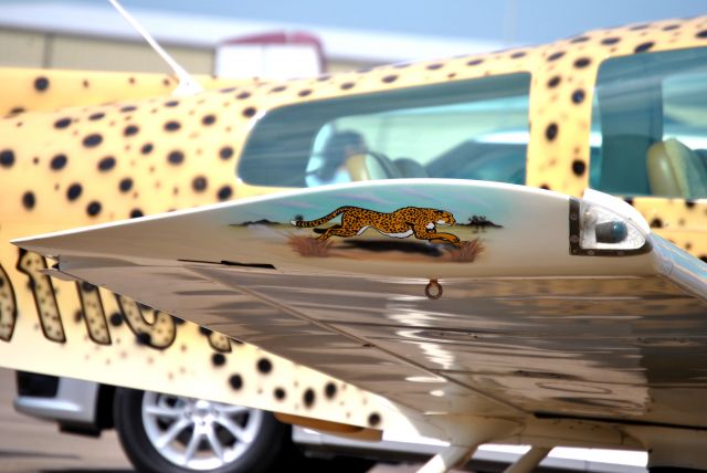 Grumman AA-5 Tiger (N911CT)