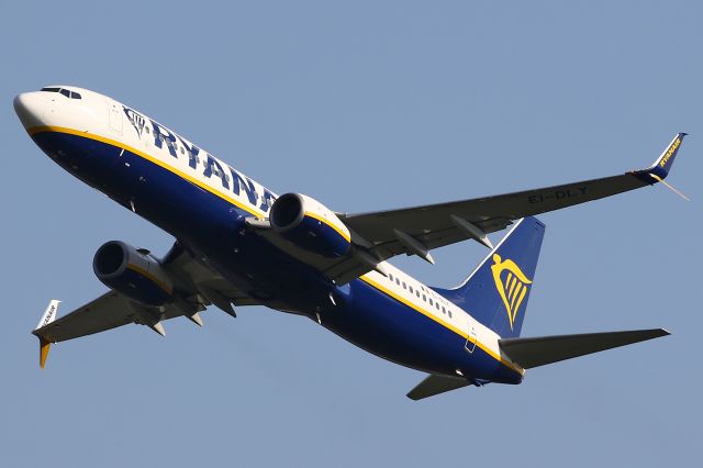 Boeing 737-800 (EI-DLY)
