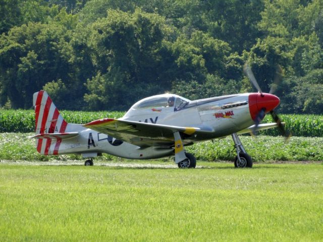 North American P-51 Mustang (N51MX)