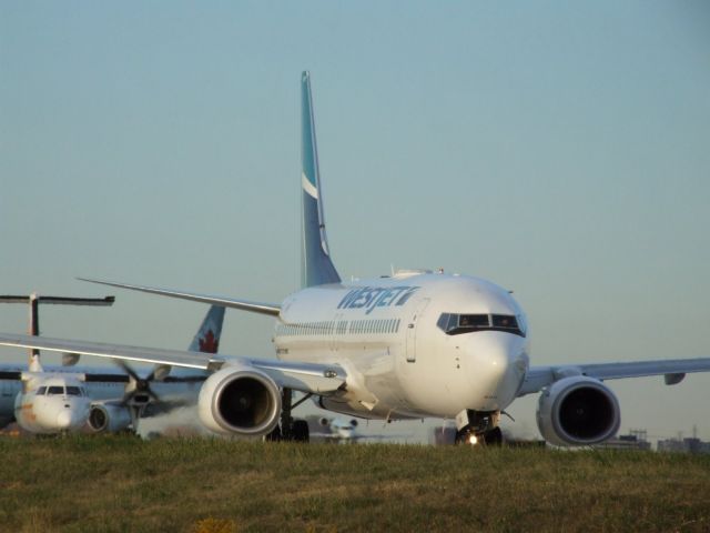 Boeing 737-800 (C-FAWJ)
