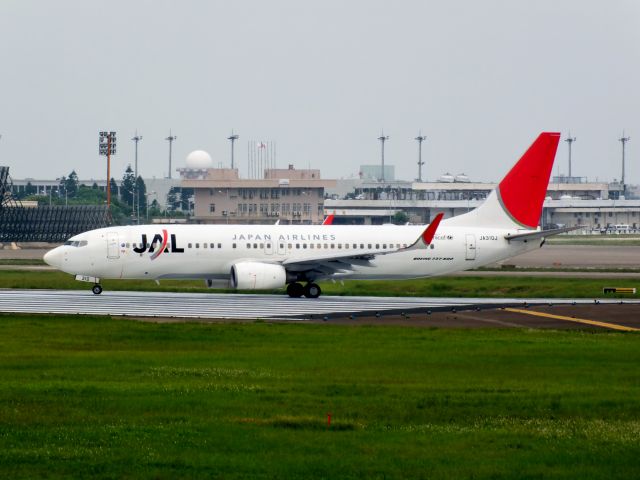 Boeing 737-800 (JA310J)