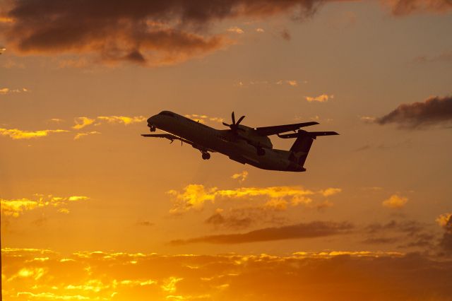 de Havilland Dash 8-400 (VH-QOD)