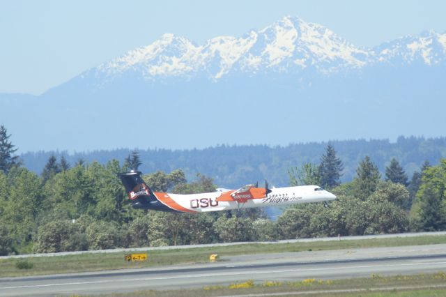 de Havilland Dash 8-400 (N440QX) - 043014 OSU Beavers landing on Rwy 34C