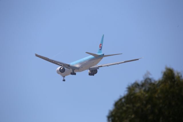 BOEING 777-300ER (HL8042)