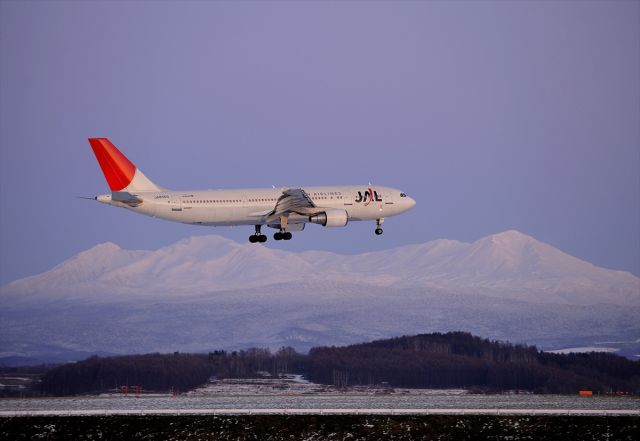 Airbus A300F4-600 (JA8565)