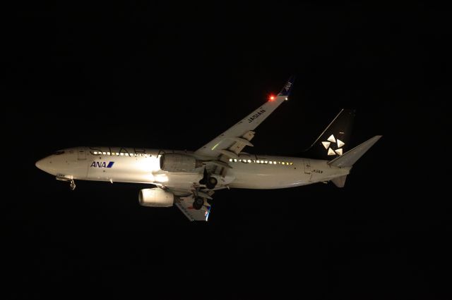 Boeing 737-800 (JA51AN) - November 1st 2021:HND-HKD.