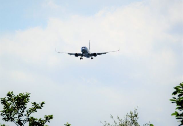 Boeing 737-800 (N853NN)