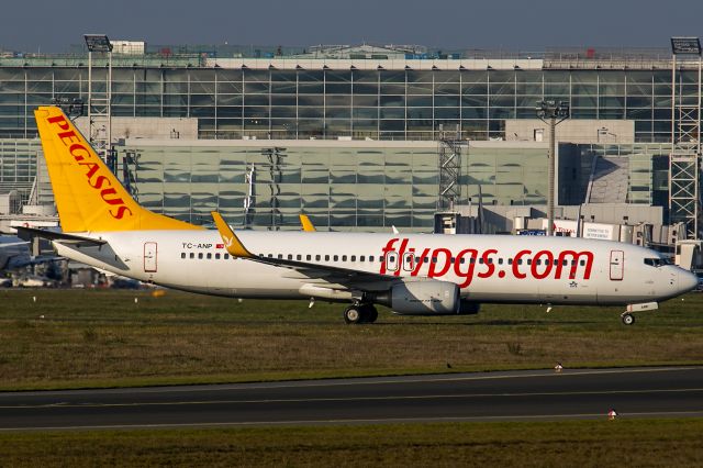 Boeing 737-800 (TC-ANP)