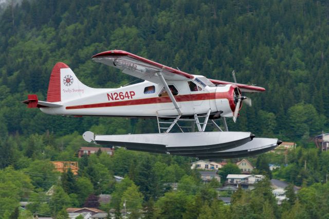 De Havilland Canada DHC-2 Mk1 Beaver (N264P) - Float plane took off from harbor and flew by cruise ship and over downtown Ketchikan, Alaska.