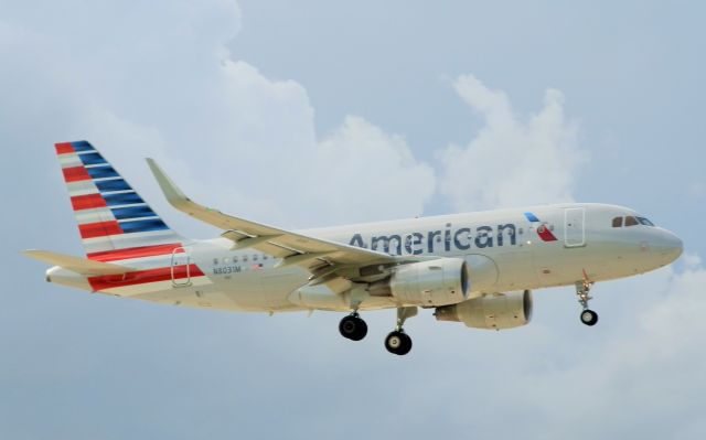 Airbus A319 (N8031M)