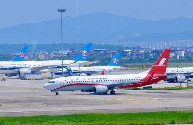 Boeing 737-800 (B-1900)