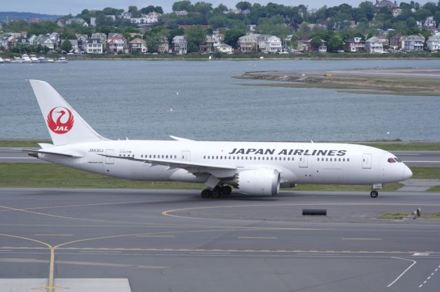 Boeing 787-8 (JA830J)