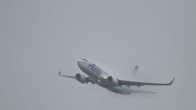 Boeing 737-700 (N614AS) - Alaska flight 65 climbing out of Juneau on a rainy, drizzly, 16th of April.  Condensation clouds were suddenly appearing and disappearing in the first minute or so of flight.