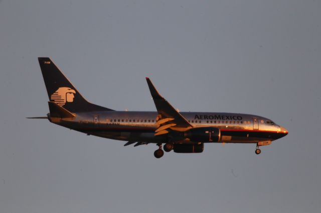 Boeing 737-800 (XA-PAM)