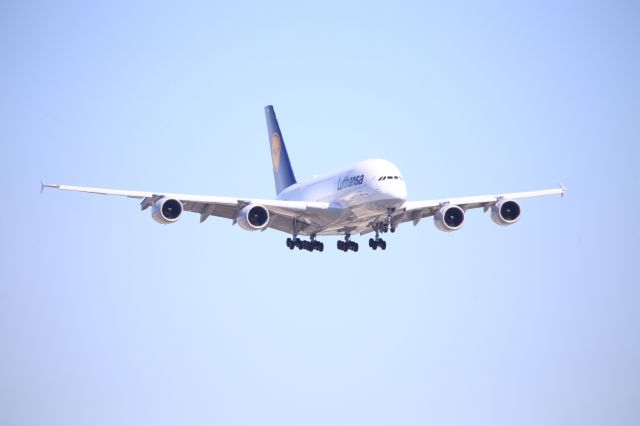 Airbus A380-800 (D-AIMM)