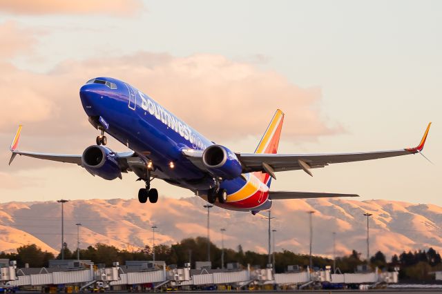 Boeing 737-800 (N8313F)