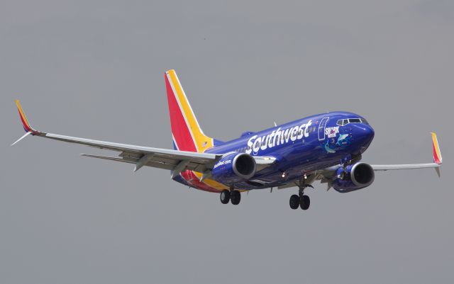 Boeing 737-700 (N961WN) - The "Mako" Shark 737 for Shark Week arriving to Dallas Love Field on 07/12/2018 before heavy thunderstorms paused operations for the day (please view in full for best quality)