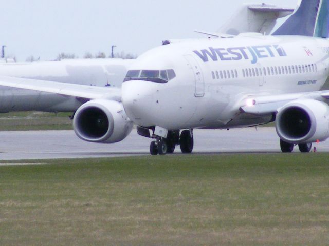 Boeing 737-800 (C-GWCT)