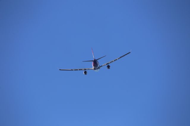 Airbus A330-200 (N393HA)
