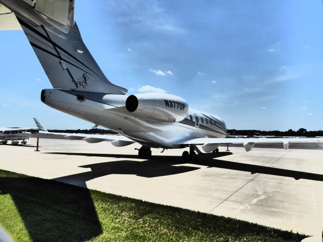 Bombardier Challenger 300 (N377DP)