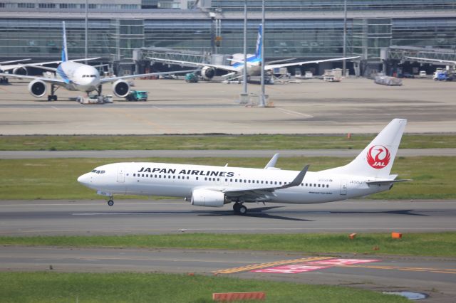 Boeing 737-800 (JA325J)