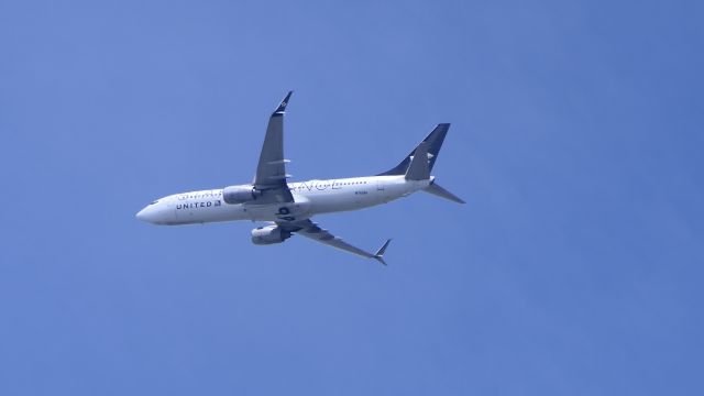 Boeing 737-800 (N76516)